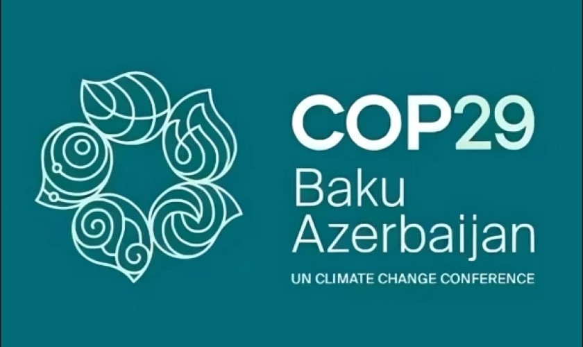 COP29: De-risking Mechanisms for Energy Investment in Displacement Settings