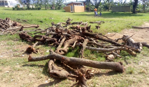 The cooking nightmare: Tales from Nakivale refugee settlement in Uganda